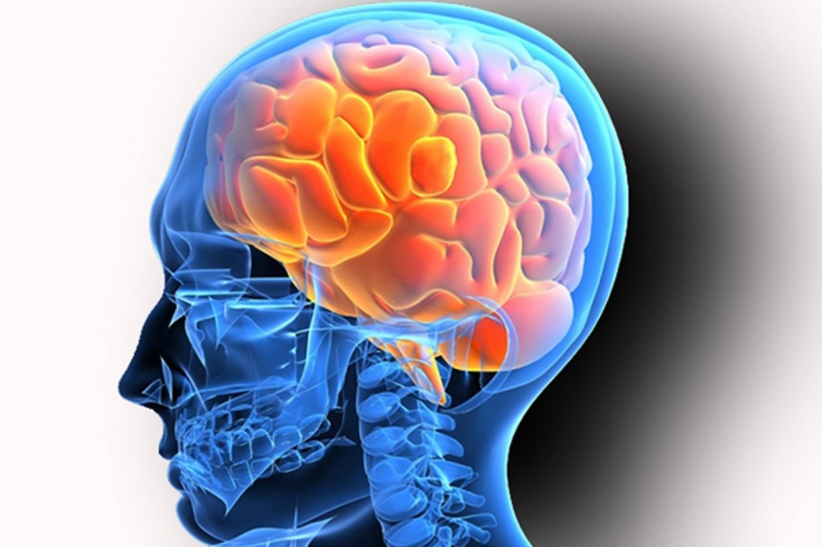 Причины заболевания головного мозга. Заболевания нервной системы. Патологии центральной нервной системы. Неврология мозг.